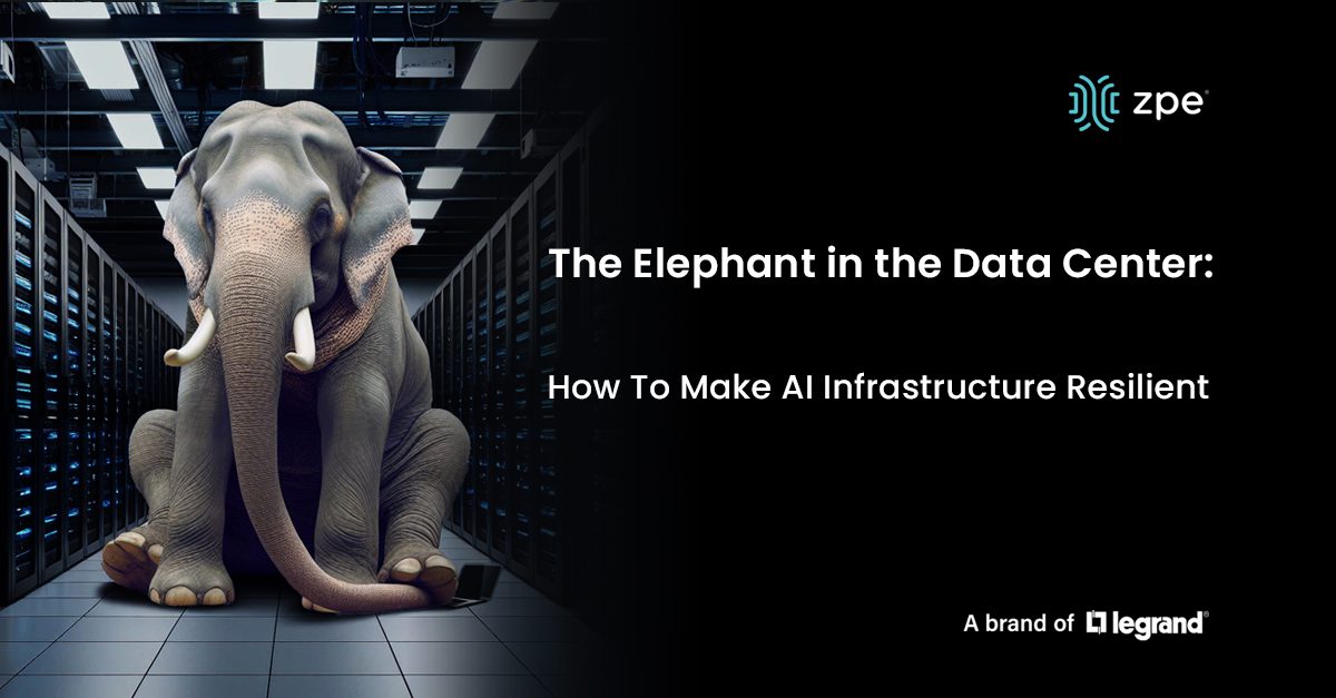 ELEPHANT IN THE DC